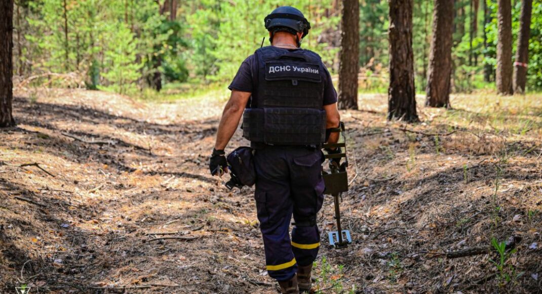 У лиманському лісі знайшли 2 протитанкові міни та бойову частину ракети РСЗВ (фото)