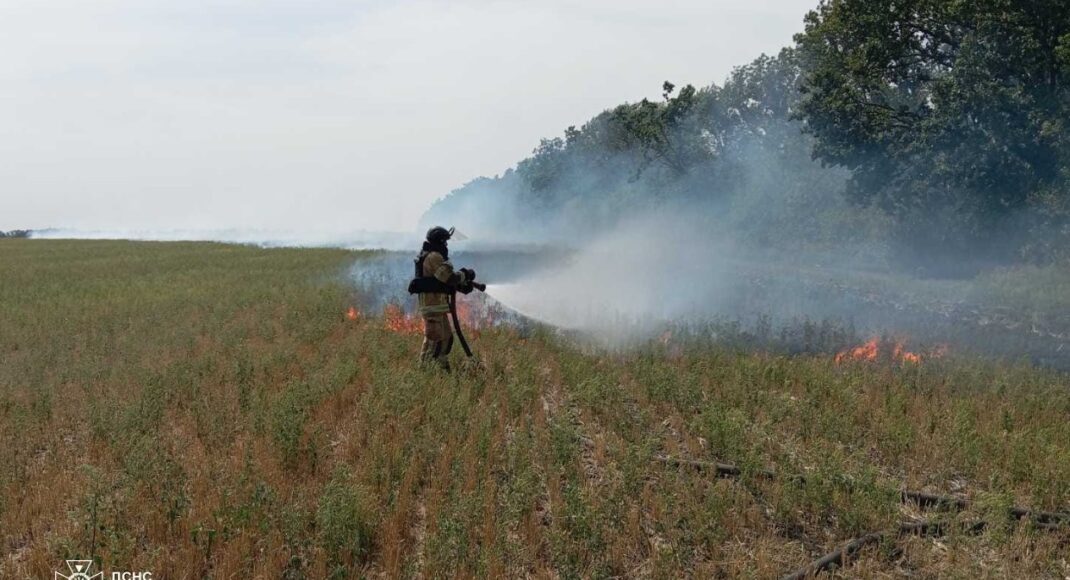 На Донеччині за минулу добу ліквідували 38 пожеж