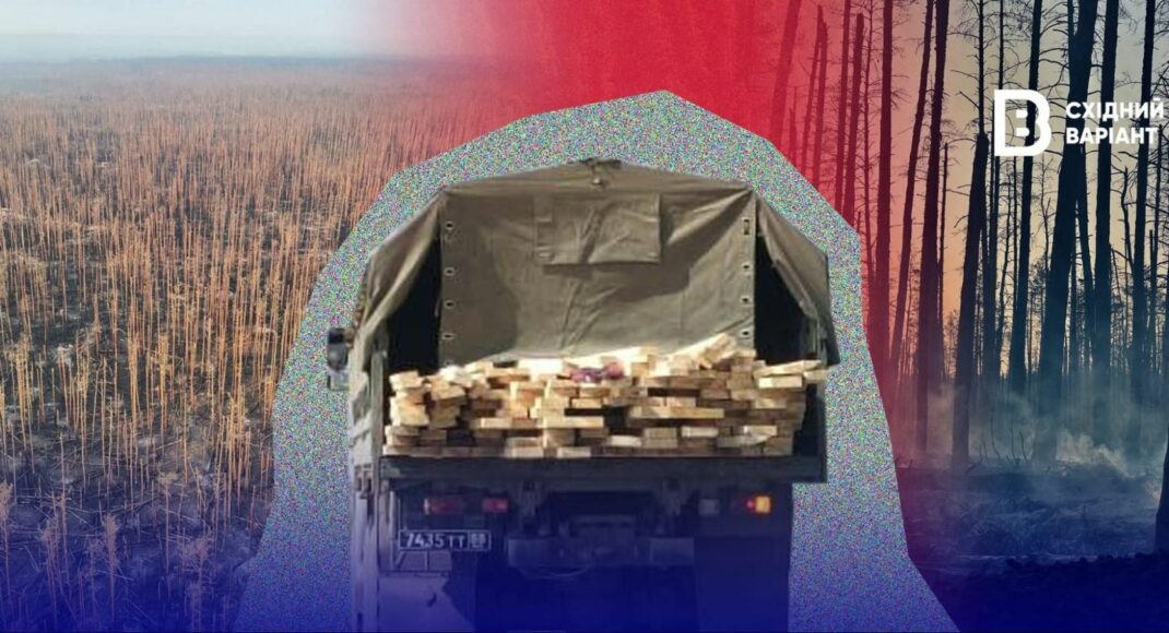 "Випалена пустка замість густого лісу": як росія знищує зелені легені Луганщини й звинувачує в цьому Україну