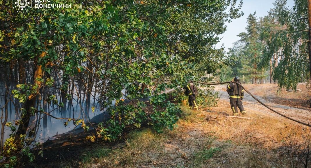Рятувальники локалізували масштабну лісову пожежу на Лиманщині