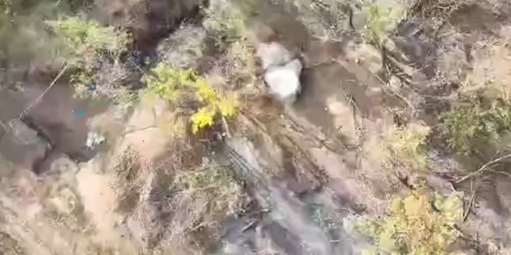 Луганские пограничники на Купянском направлении поразили укрытие врага и уничтожили БМП (видео)