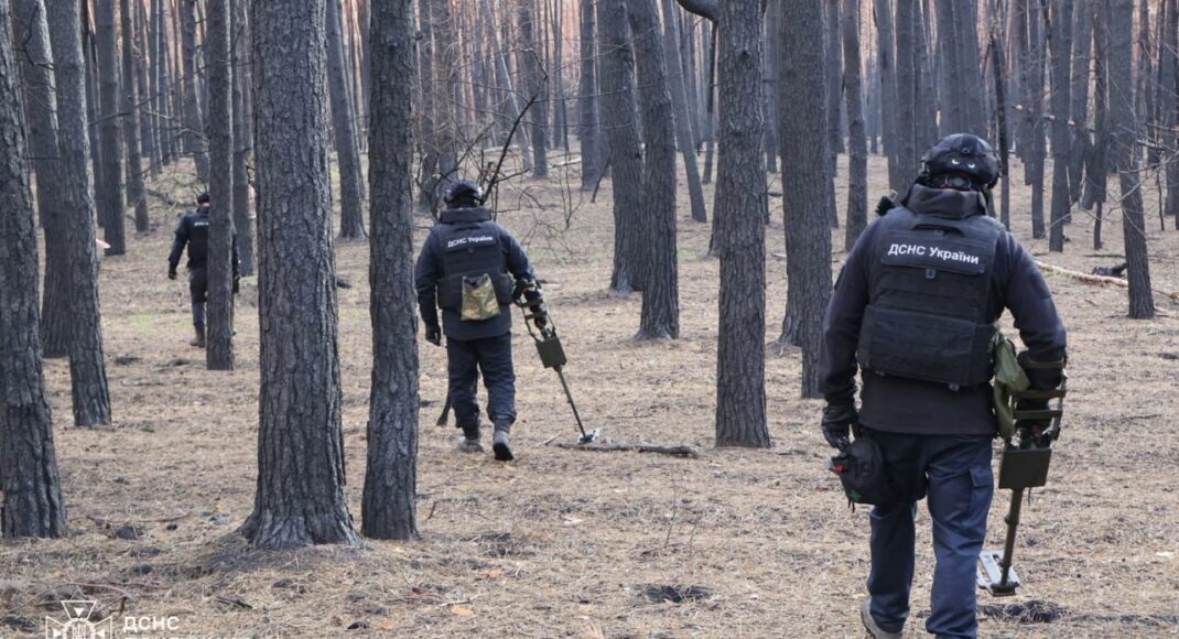 19 взрывоопасных предметов обезвредили вчера в трех районах Донетчины (фото)
