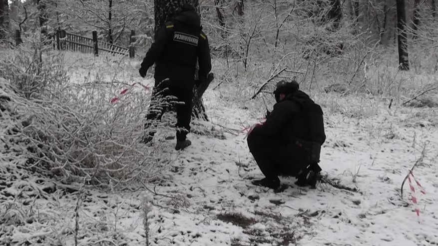 В Краматорском районе Донетчины продолжается разминирование лесного массива (видео)