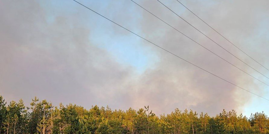 Из-за сильных лесных пожаров вокруг оккупированного Северскодонецка более 2 тыс. человек остались без света
