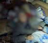 "Белые ангелы" и "Капелланский патруль" спасли из Покровска женщину, которая не могла ходить (видео)