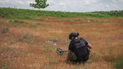 У Покровському та Краматорському районах Донеччини сапери знищили 13 вибухонебезпечних знахідок (фото)