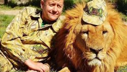 Вивезений лев з Маріуполя напав на власника кримського зоопарку
