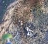 Нацгвардія показала, як ліквідує російських штурмових мотоциклістів на Покровському напрямку (відео)
