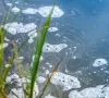 Захватчики заявили, что на оккупированной Луганщине хотят "улучшить и развивать туризм" на запущенных водоемах