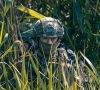 В Генштабе рассказали, какие позиции ВСУ на восточных фронтах враг атаковал больше всего за сутки
