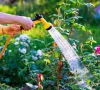 Главарь непризнанной "днр" ответил, будут ли штрафы за полив огородов на оккупированной Донетчине и сколько сетей водоснабжения в оккупации истощены
