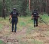 Минулої доби понад 10 вибухонебезпечних предметів виявили у Краматорському та Покровському районах Донеччини